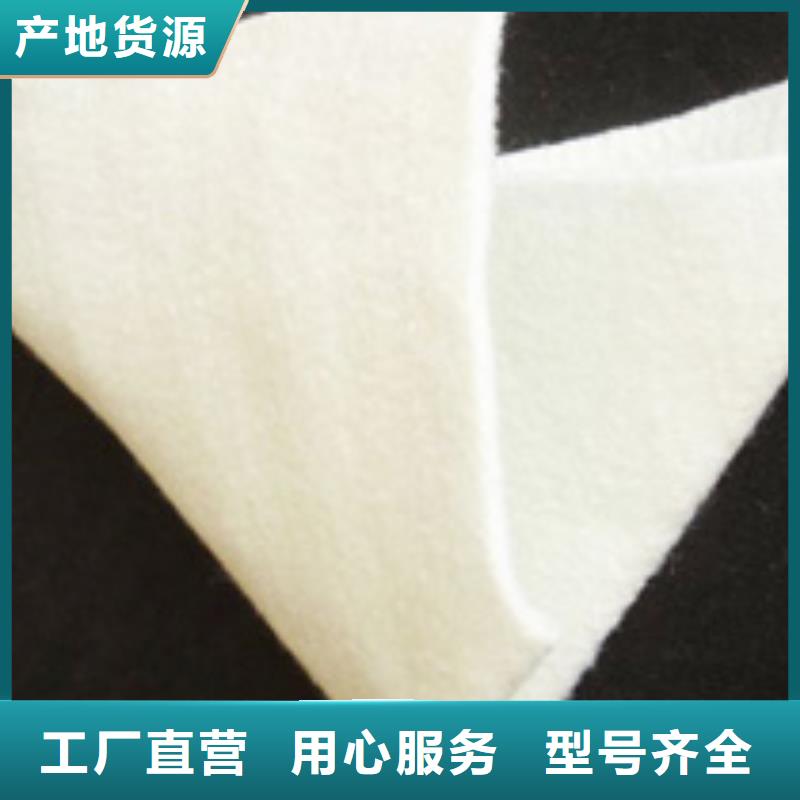 土工布双向塑料土工格栅产地货源同城公司