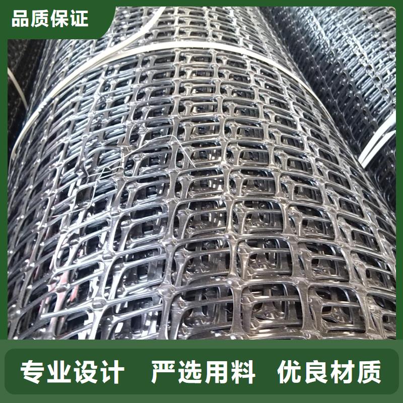 双向塑料土工格栅三维植被网追求品质源头厂源头货