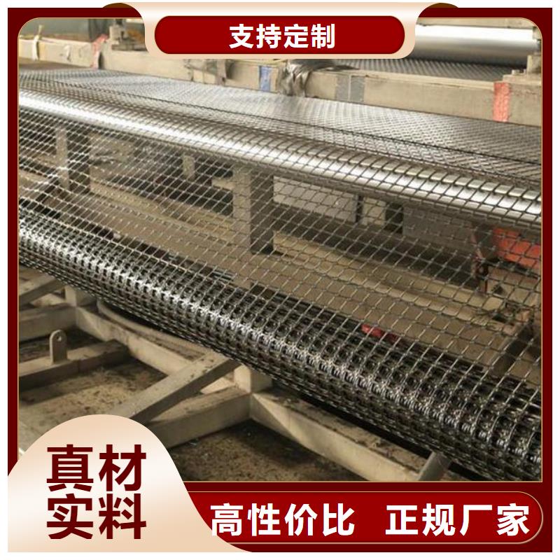 双向塑料土工格栅塑料土工滤网当地厂家值得信赖今日价格