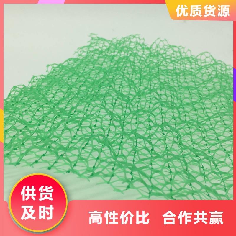 三维植被网PP焊接土工格栅订购多种优势放心选择