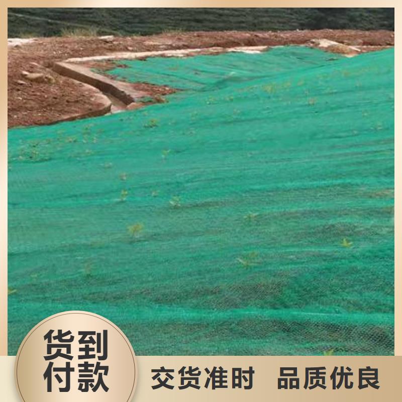 防渗膜价格_膨润土防水毯批发_土工网生产厂家_三维植被网随到随提