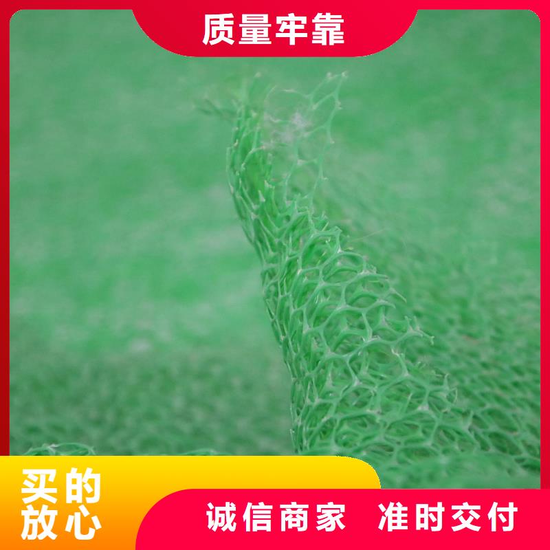 三维植被网,HDPE土工膜产品细节质量无忧