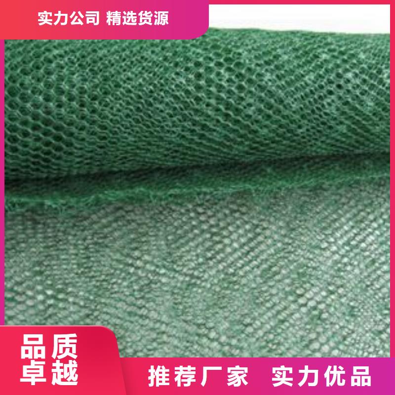 三维植被网,护坡土工网实力商家供货稳定一周内发货