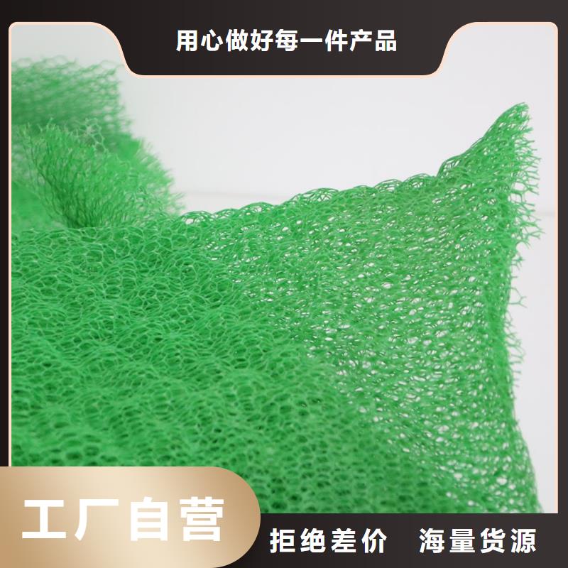 三维植被网蜂巢格室现货直发为您精心挑选