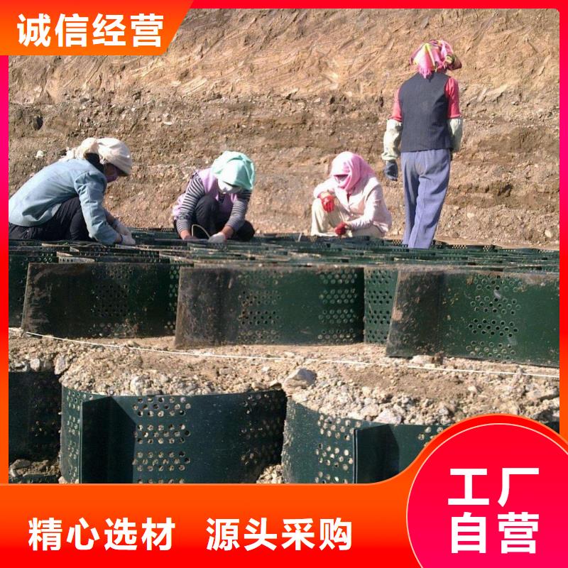 土工格室-厂家价格供应蜂巢土工格室、HDPE塑料土工格室定制同城厂家