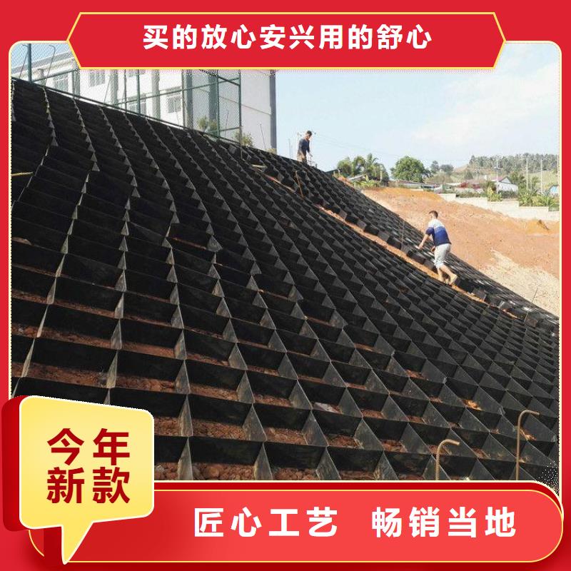 土工格室-单向塑料土工格栅厂家技术完善本地经销商