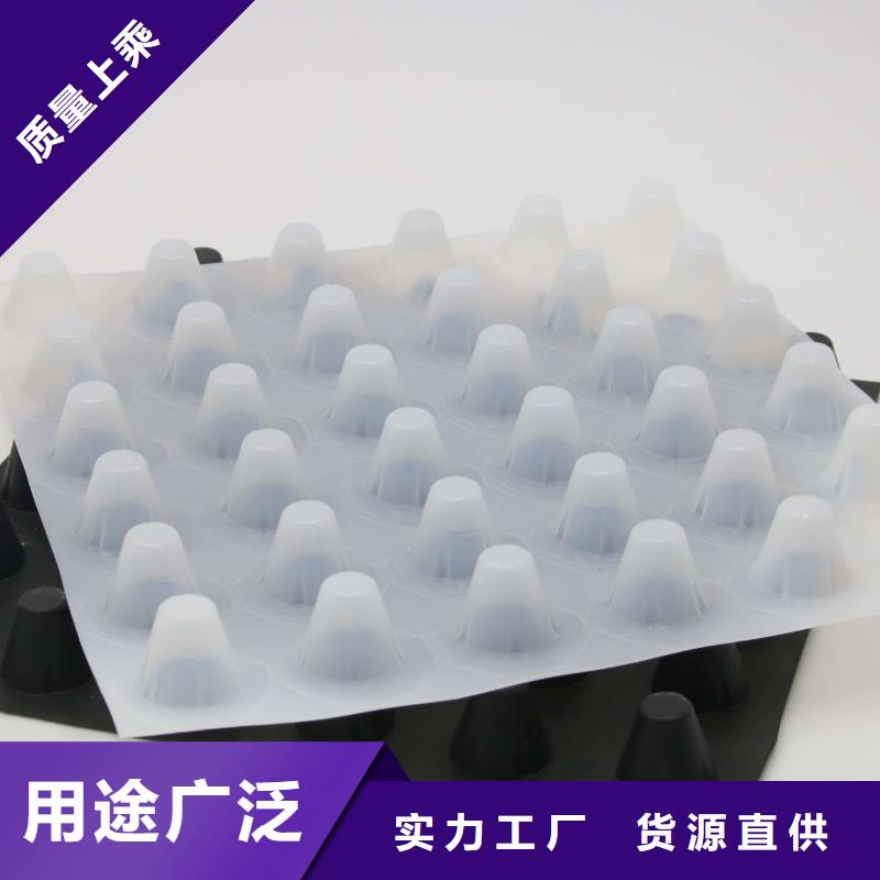 排水板土工HDPE膜选择大厂家省事省心为品质而生产
