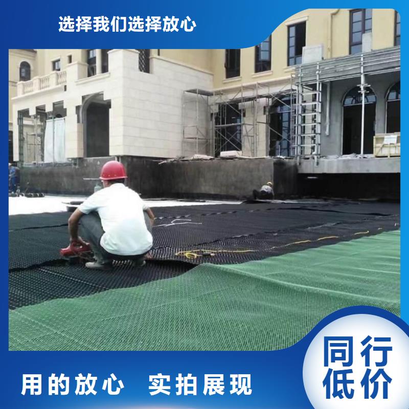 排水板-塑料土工滤网现货充足多种规格供您选择