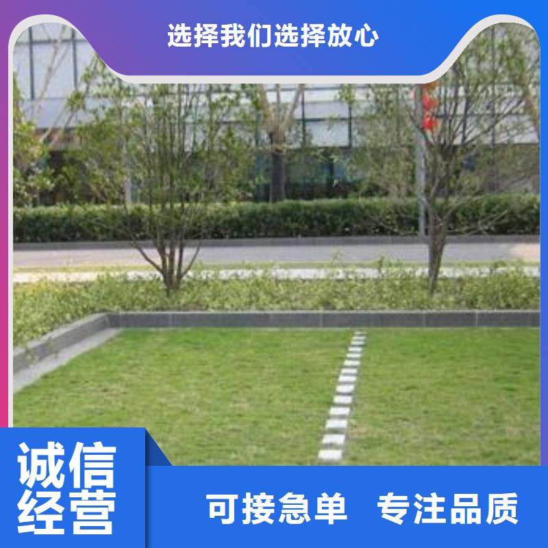 植草格_城建土工膜库存量大实力派厂家