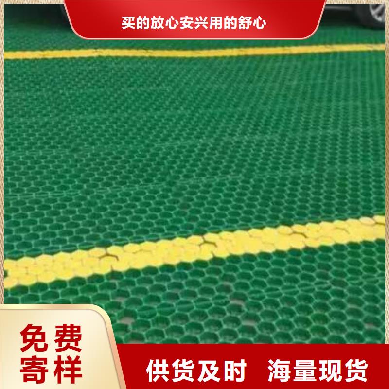 植草格三维土工网垫货源稳定本地货源