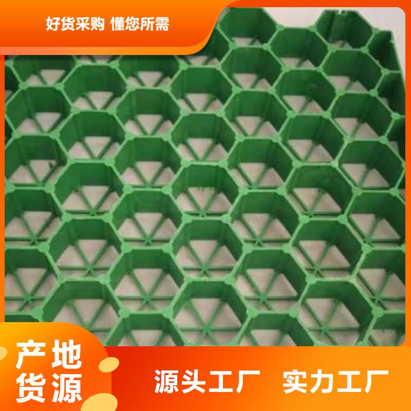 植草格毛细排水板来图定制本地货源