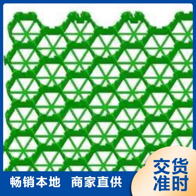 植草格_土工格室真材实料诚信经营多种规格库存充足
