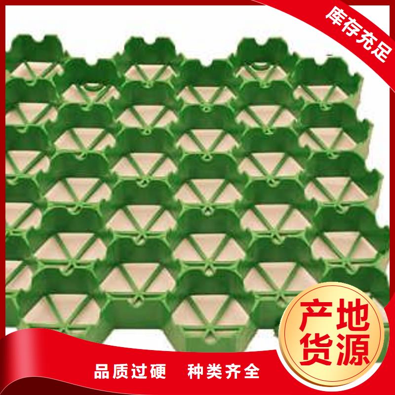 植草格_【土工格室】优选好材铸造好品质当地公司