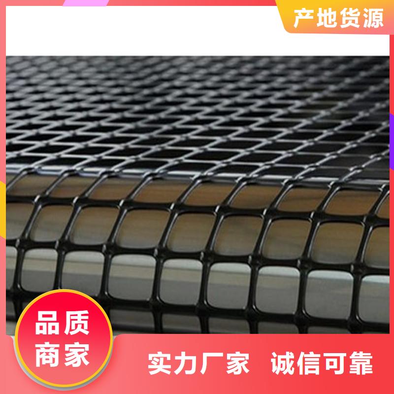 塑料土工格栅品类发货迅速