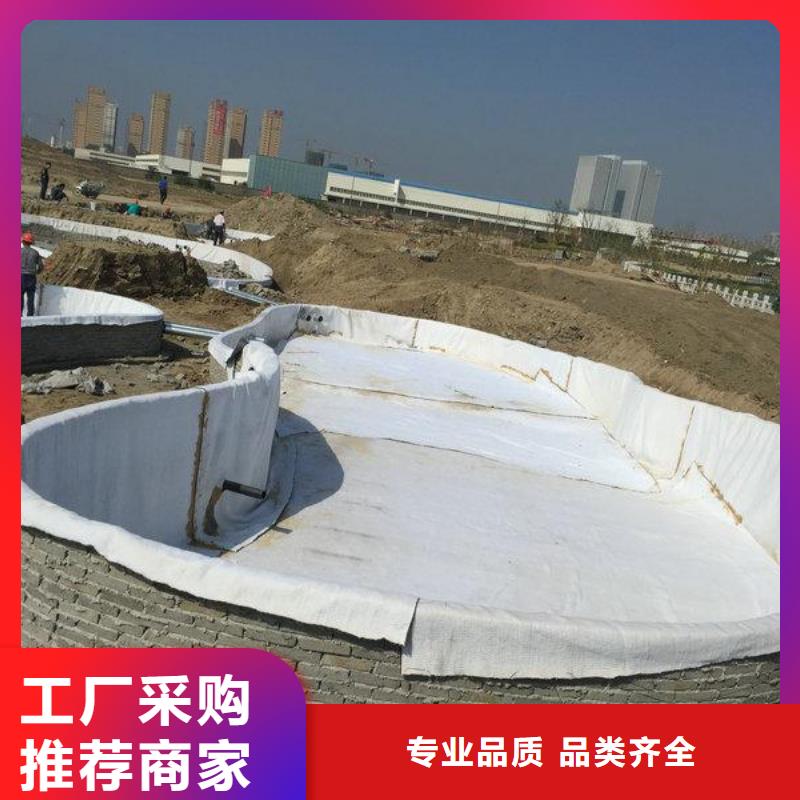 膨润土防水毯反滤土工布经久耐用工期短发货快