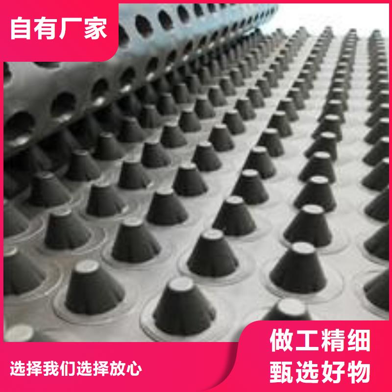 塑料排水板复合土工膜经久耐用当地服务商