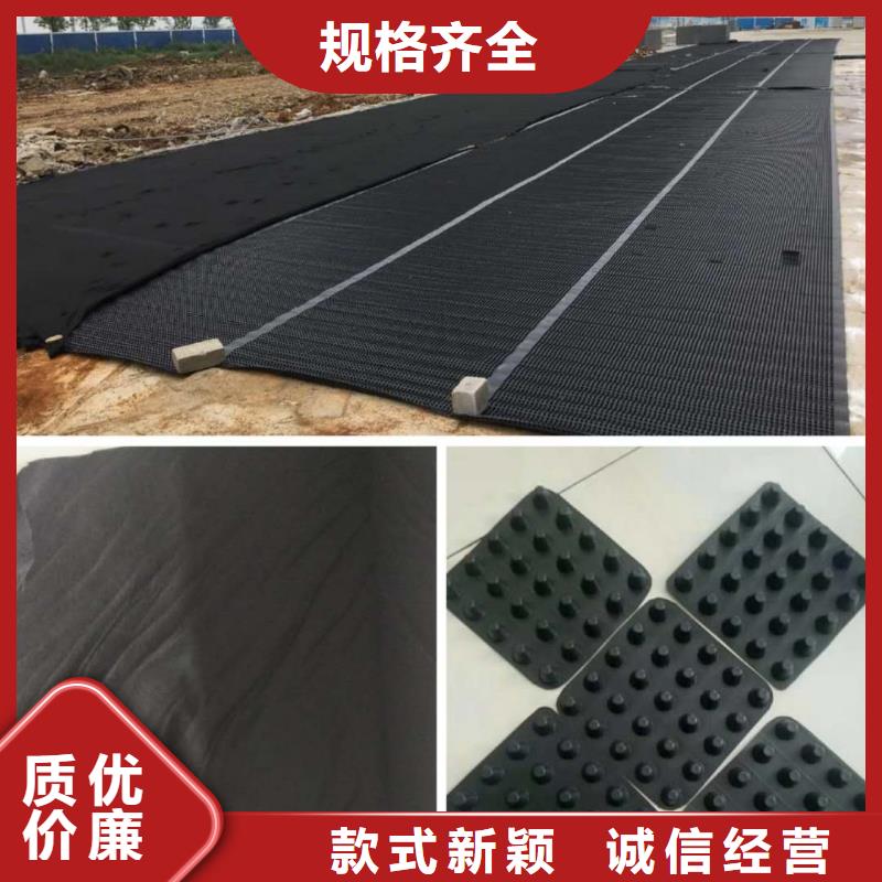 【塑料排水板】玻纤土工格栅极速发货当地生产商