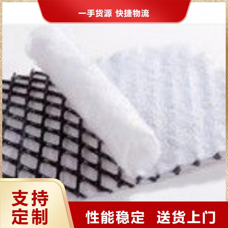 【三维复合排水网】钢塑土工格栅精选货源本地服务商