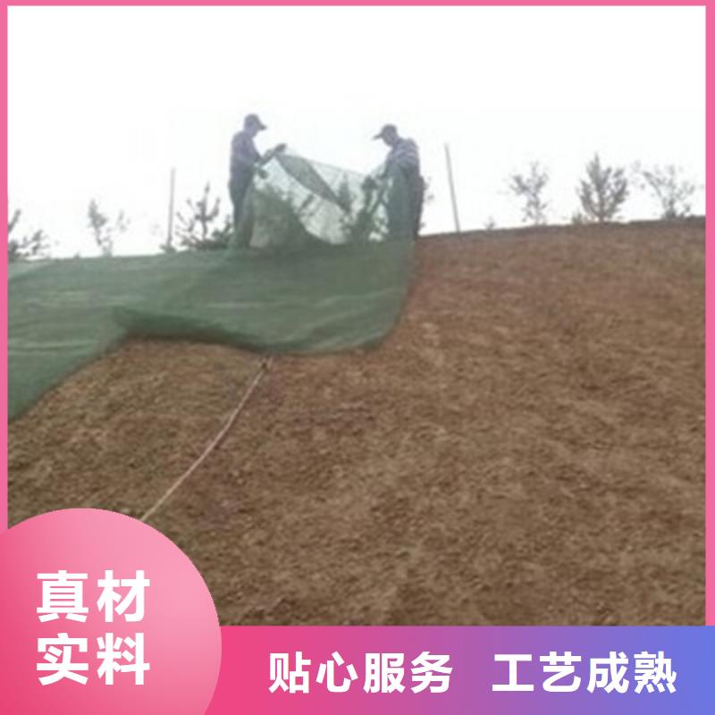 护坡三维网厂家三维植被网垫价格生产厂家同城公司