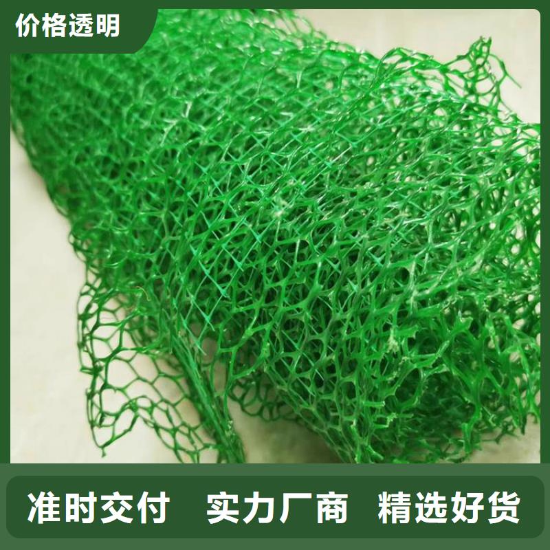 三维植被网,pp焊接土工格栅精选厂家好货厂家现货批发