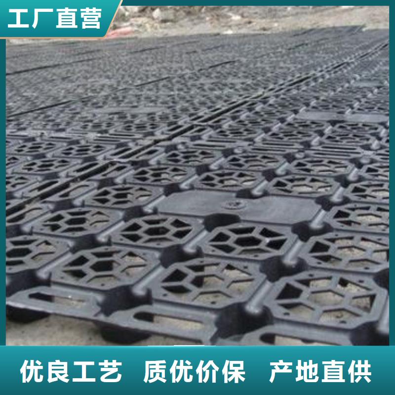 蓄排水板单向塑料土工格栅支持非标定制同城公司