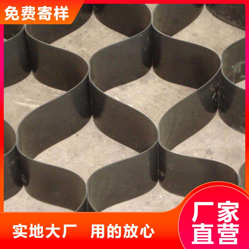 土工格室双向拉伸土工格栅好品质用的放心同行低价