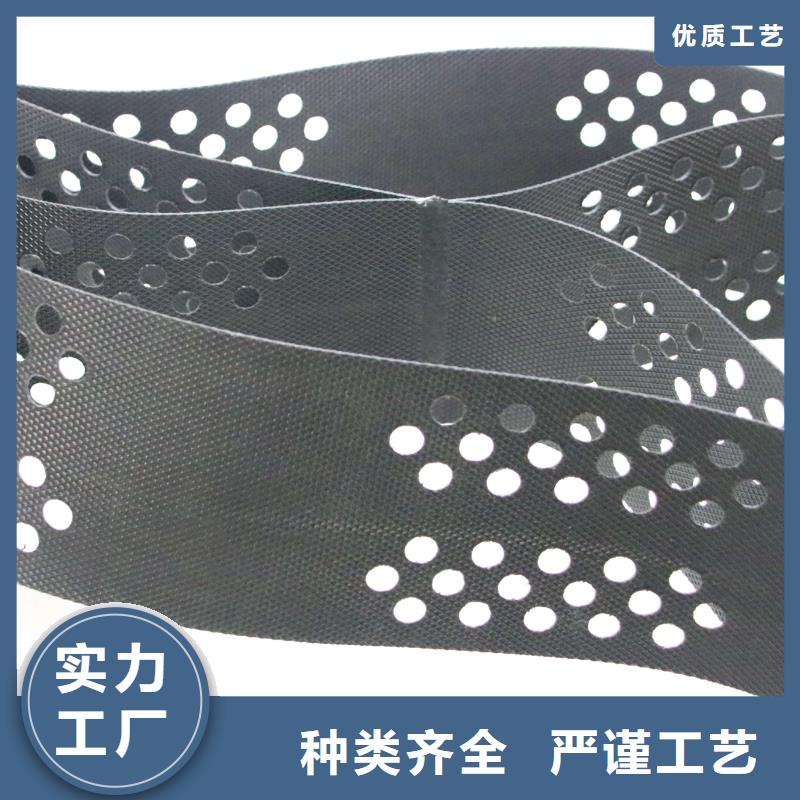 土工格室_【三维植被网】价格合理厂家实力大