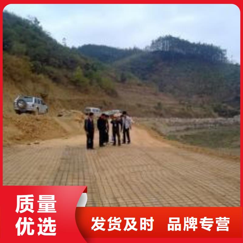 钢塑土工格栅_三维植被网厂家现货批发无中间商厂家直销