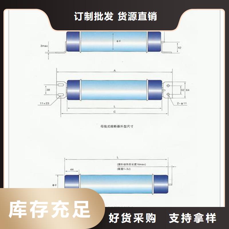 限流熔断器电缆附件海量现货准时交付