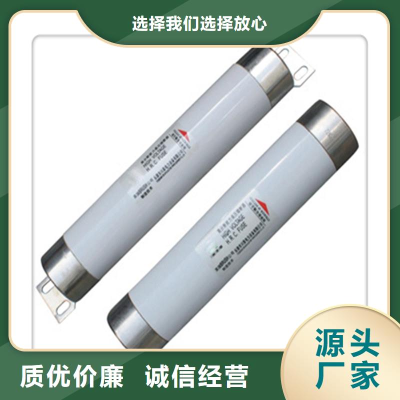 RXWO-35/5A高压限流熔断器按需定做