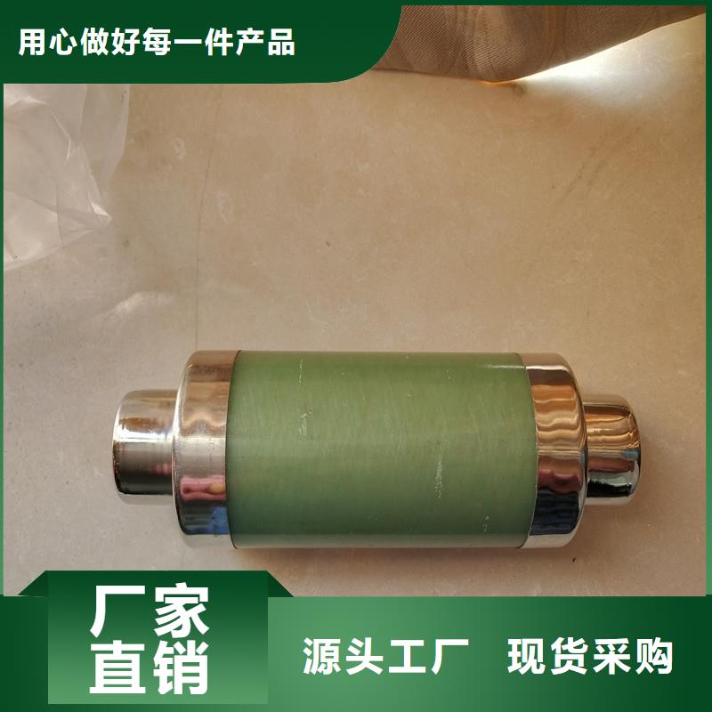 XRNP-24KV/0.5A限流熔断器厂家直销大量现货