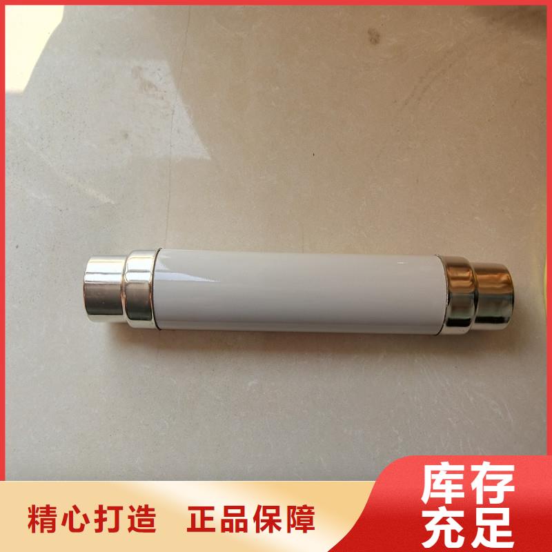 XRNP-12KV/0.2A熔断器诚信经营质量保证