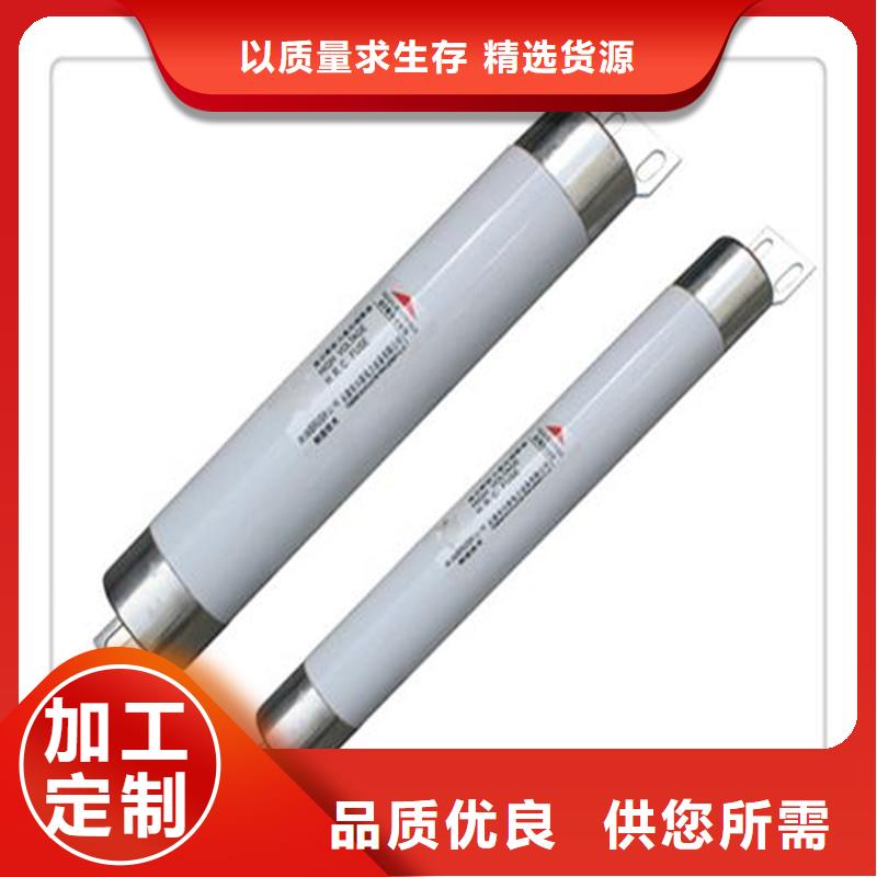 XRNP-12/1A变压器用熔断器附近制造商