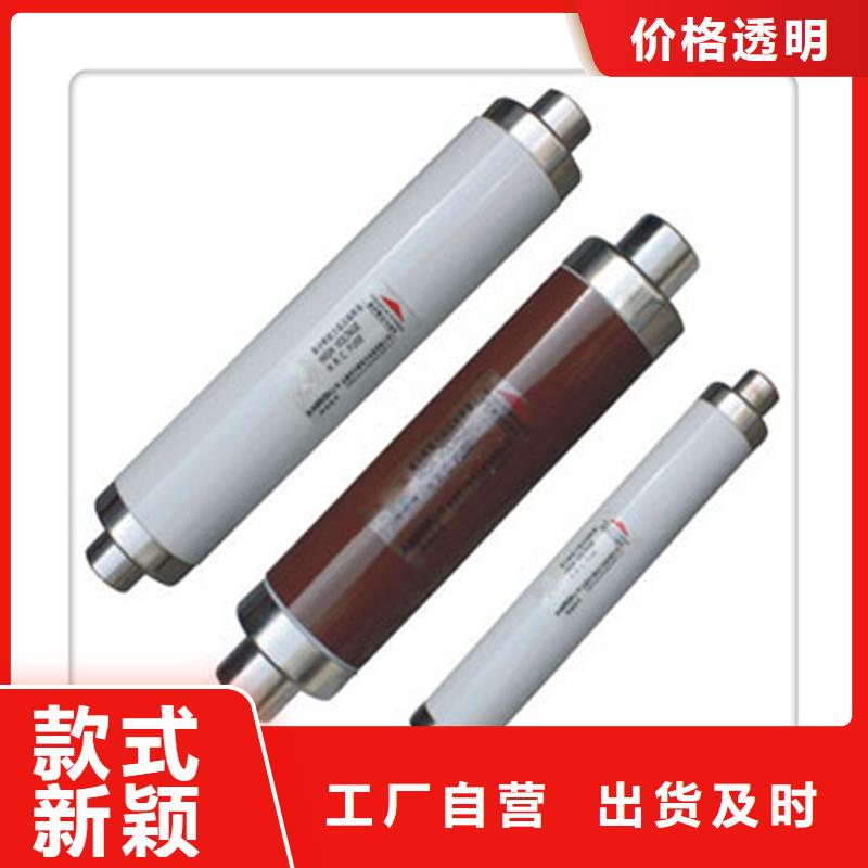 XRNP-10KV/2A熔断器同城制造商