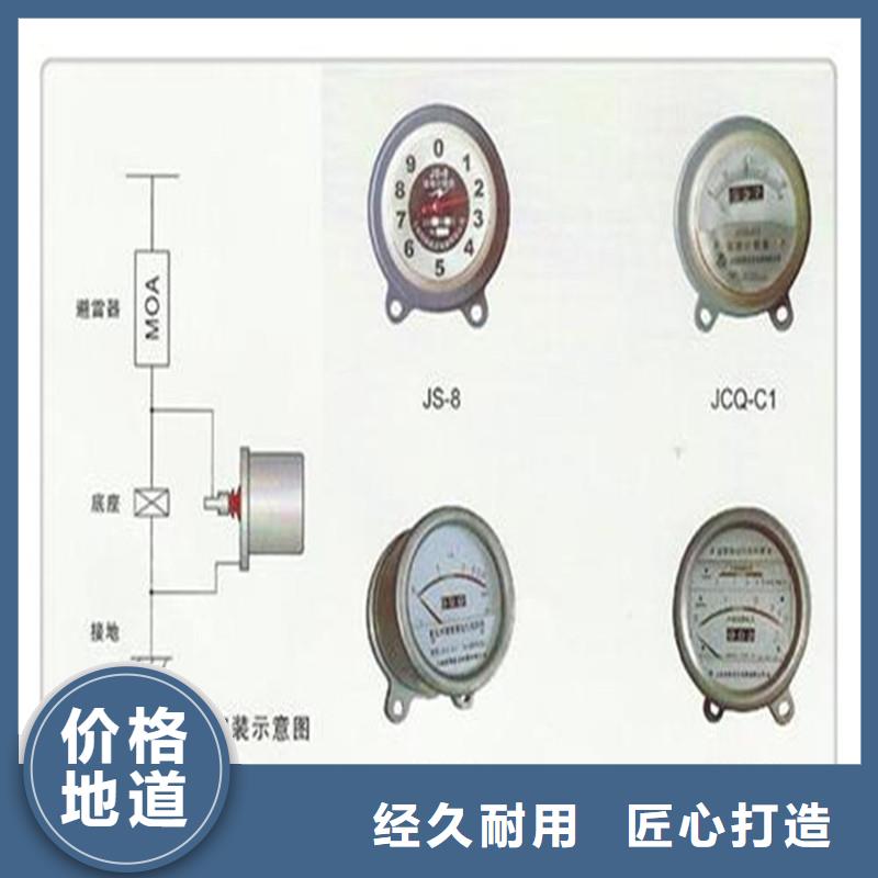 计数器氧化锌避雷器专心专注专业附近生产厂家