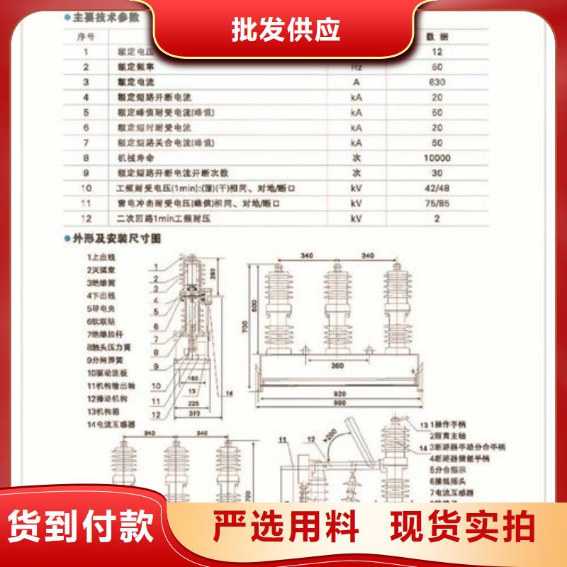 ZW37A-40.5/1250户外高压真空断路器价格库存量大