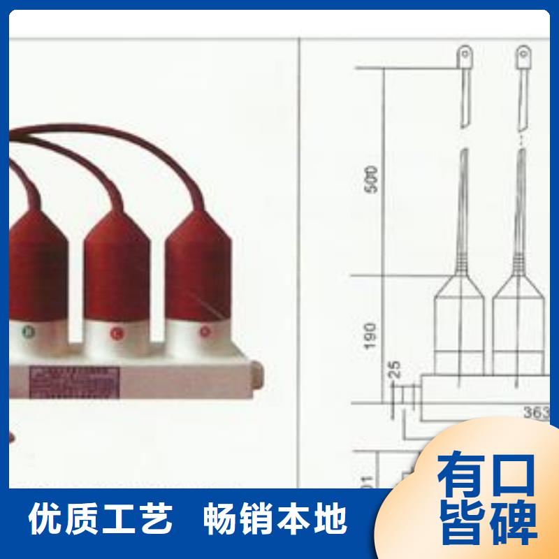 TBP-C-12.7F/131三相组合式氧化锌避雷器哪里有同城经销商