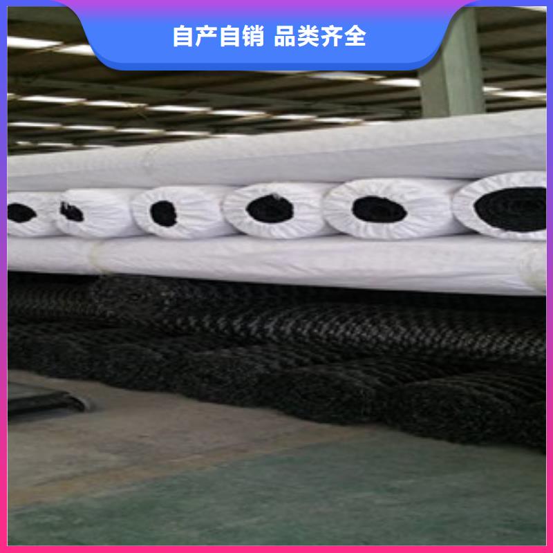 双向塑料格栅防裂贴抗裂贴物流配货上门应用广泛