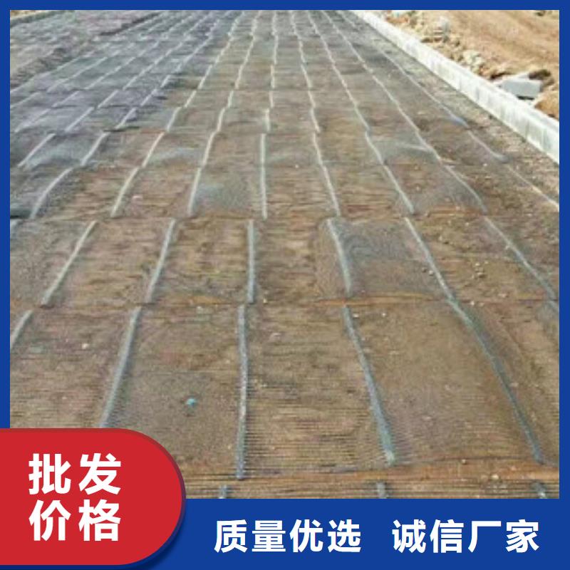 单向塑料格栅膨润土防水毯专注细节使用放心品质保证