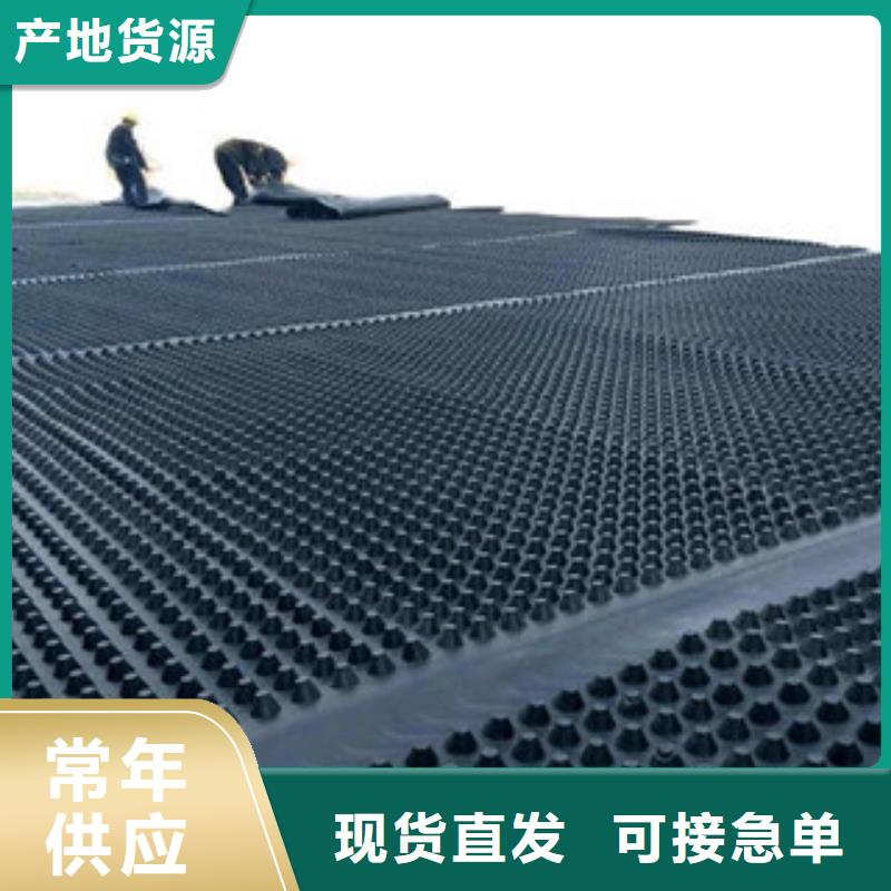 塑料排水板-塑料土工格栅质量牢靠实力厂家直销