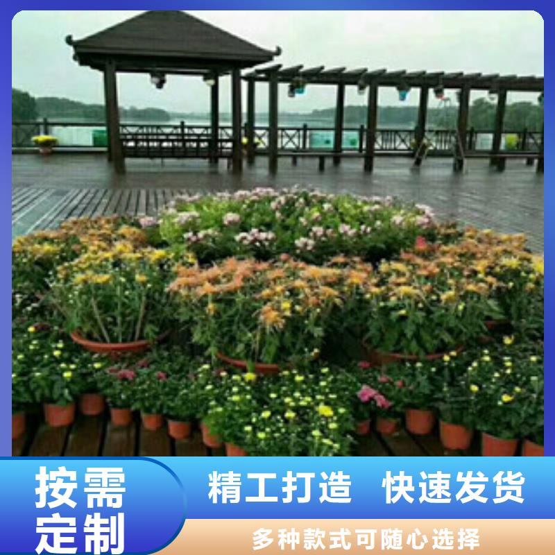 时令草花花海景观工程定制销售售后为一体品质保证实力见证