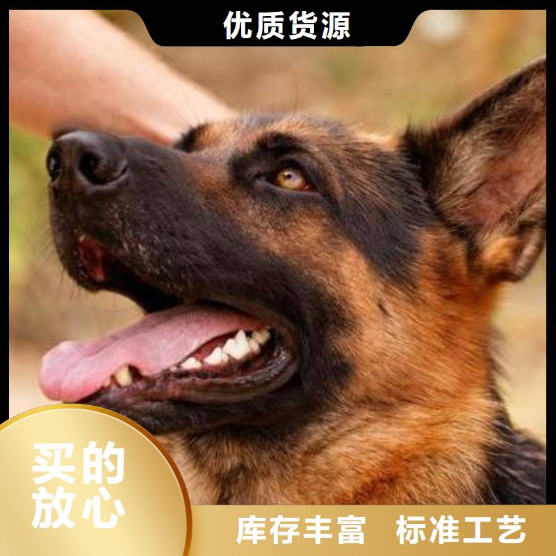 德国牧羊犬_罗威纳犬卓越品质正品保障自主研发