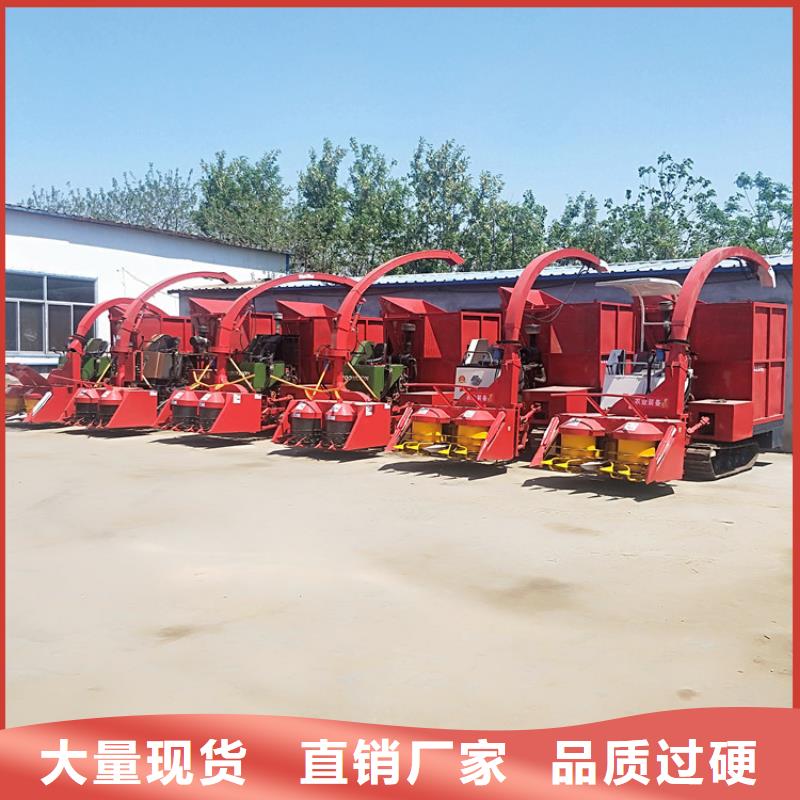 青储机拉布拉多犬采购无忧本地供应商