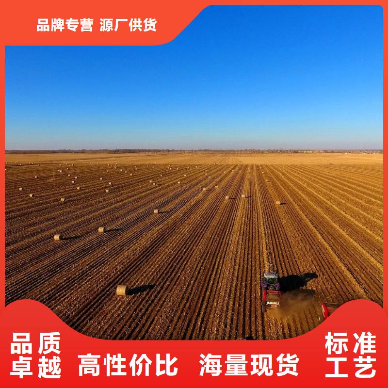 打捆机德牧犬材质实在细节之处更加用心