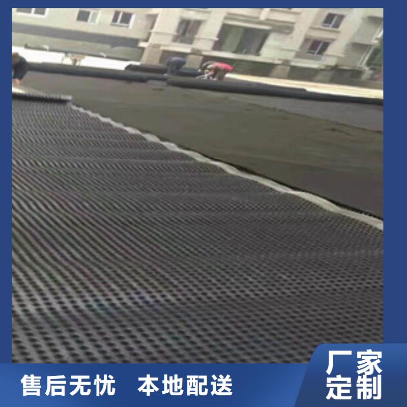塑料排水板_蓄排水板厂家源头实体厂商多行业适用