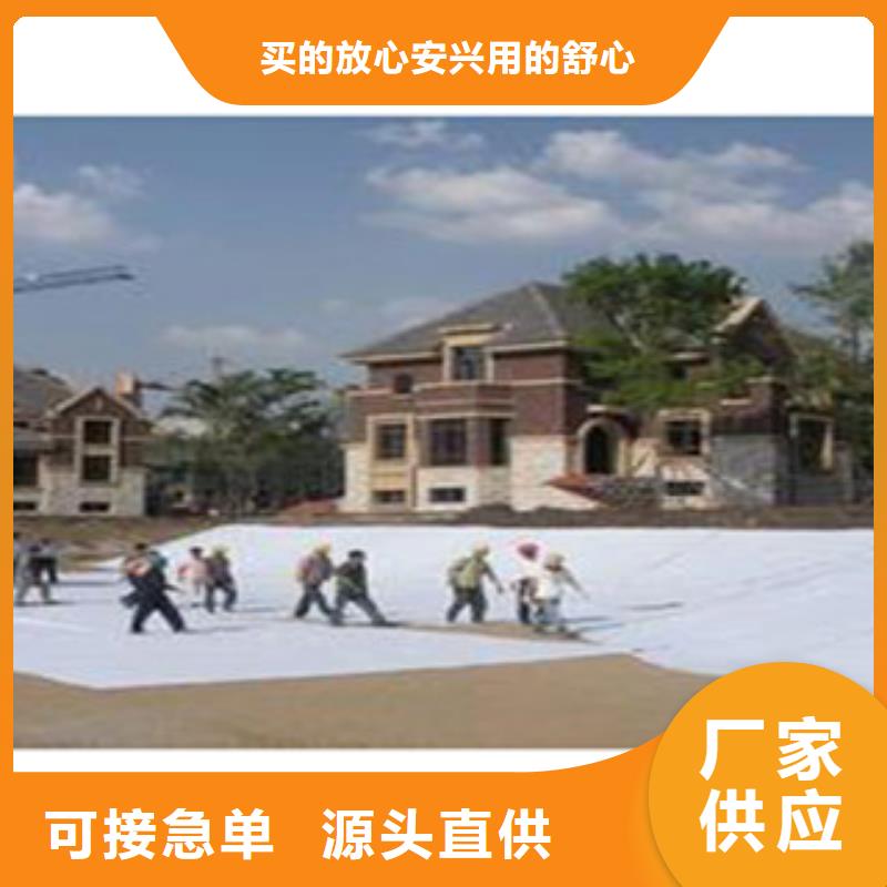 防水毯【蓄排水板厂家】出厂价本地生产厂家