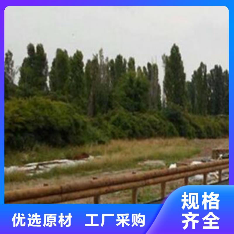 钢背木护栏【桥梁景观护栏】厂诚信经营定制销售售后为一体