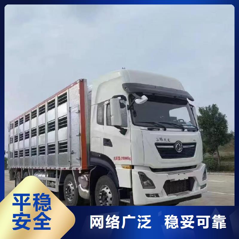 宿迁市泗阳到莱芜仔猪运输专业专注
