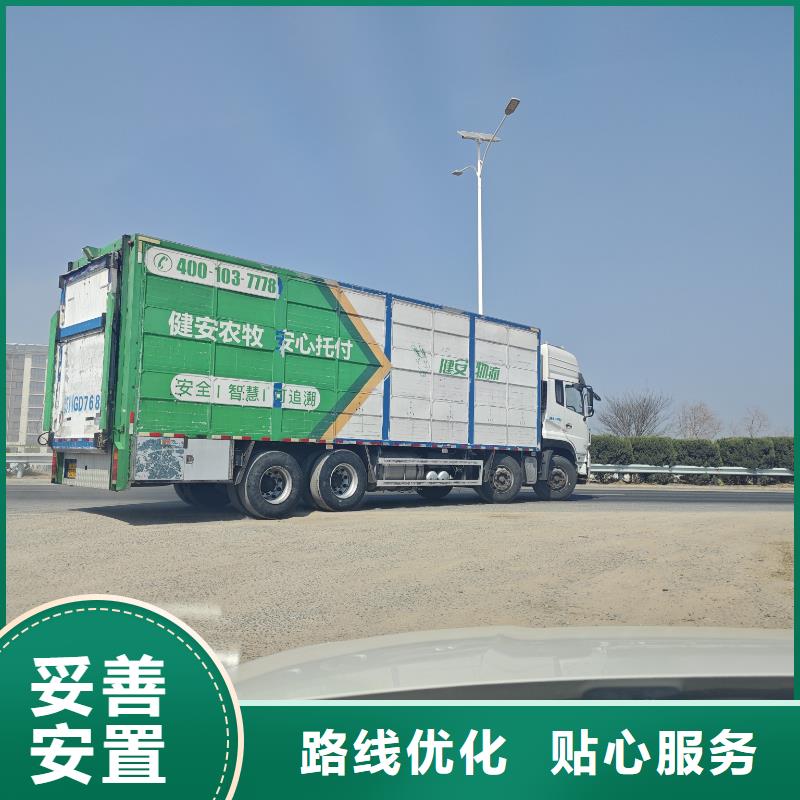 宿迁市沭阳到阜阳羊运输专用车行业领先