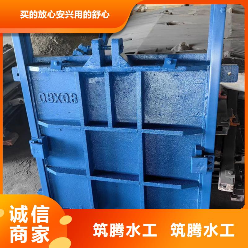 镶铜铸铁闸门工厂直供当地厂家